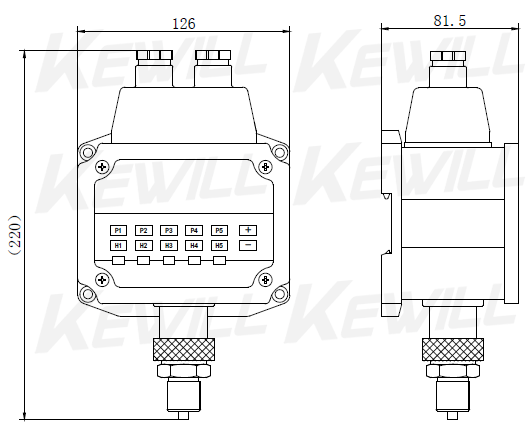 PE60A 壓力控制器